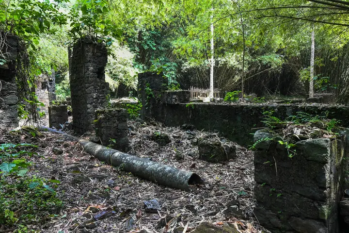 L'histoire de la traite des esclaves au Cameroun : lieux de mémoire et connexion avec la diaspora