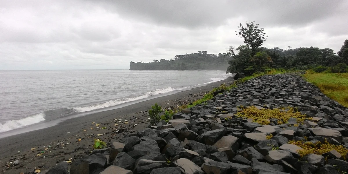 Principales attractions touristiques au Cameroun : le guide définitif