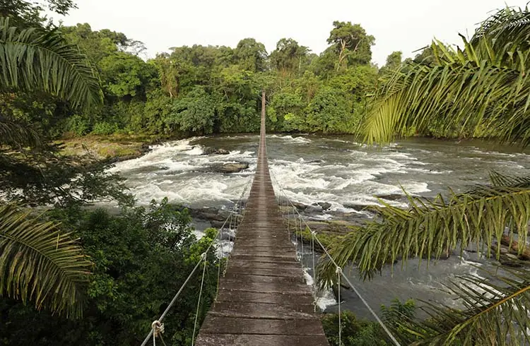 Cameroon Travel Safety: An Honest Assessment of What Visitors Need to Know