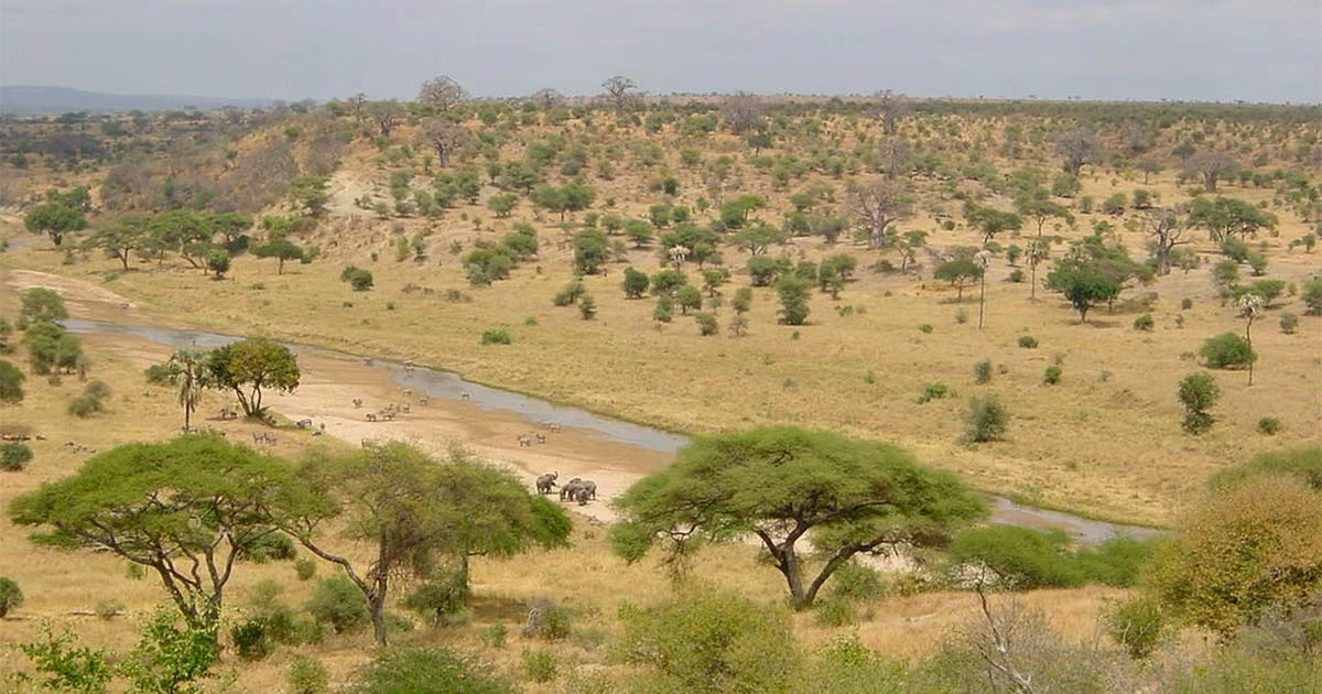 N'Djamena City & Chari River Highlights (3 Days)